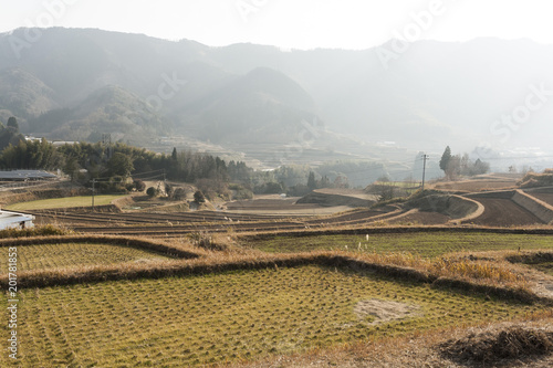 Rice terraces in Japan