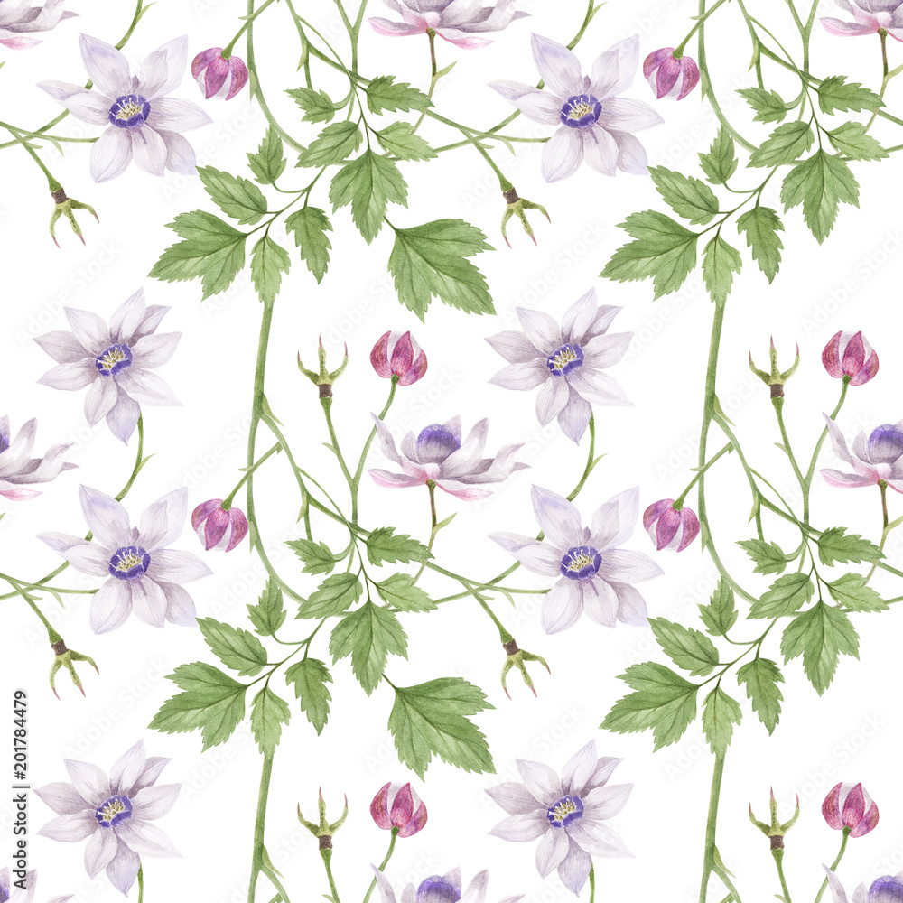 Watercolor seamless pattern False Anemone