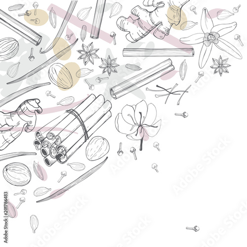 Spices for dessert, and baking.Vector background. Hand drawn sketch illustration