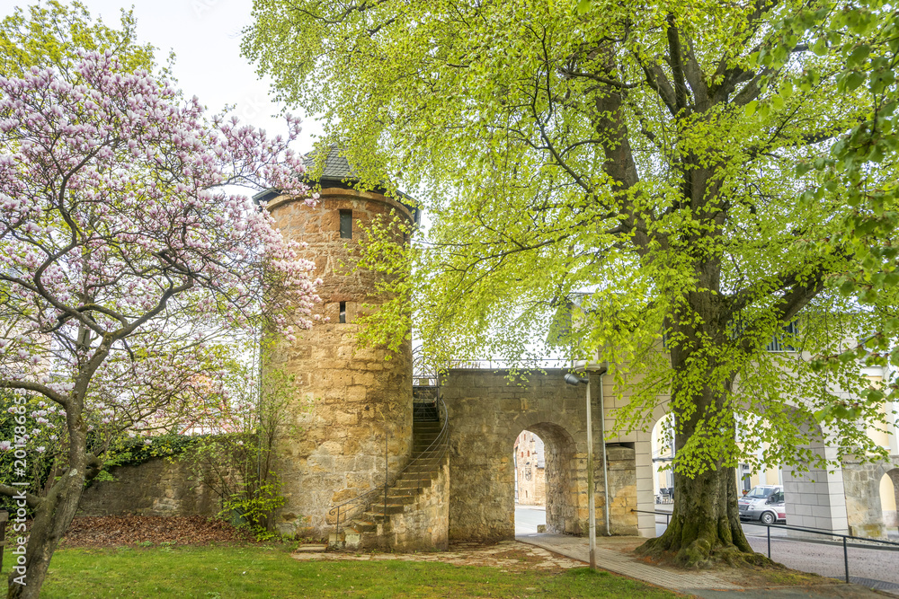 Obraz premium Stadtmauer, Turm, Korbach, Hessen 