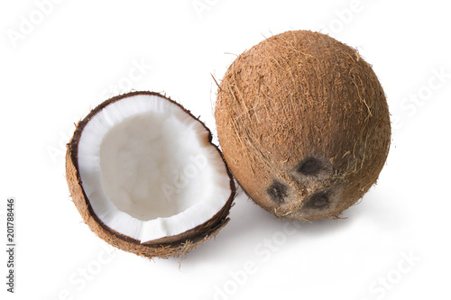 natural coconut isolated in white background