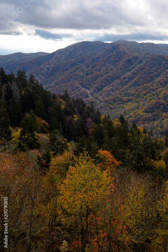 Smoky Mountains © Alice