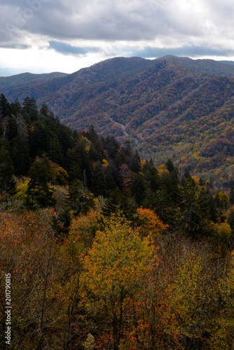 Smoky Mountains