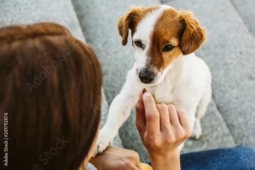 Photography Young beautiful woman feeding her sweet dogs playfuly in a lovely park of the center of Madrid