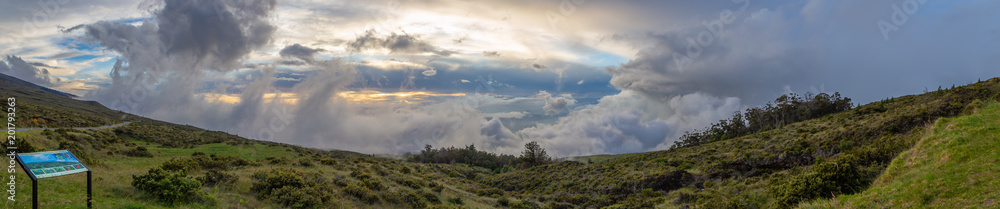 Haleakala Subapline Shrubland Panorama 