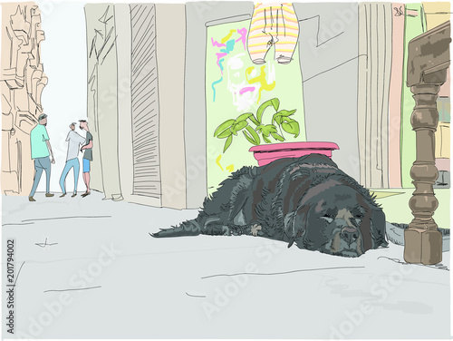Sleep, sweet, old dog takes a nap on the street in a European city. Hand drawn vector illustration.