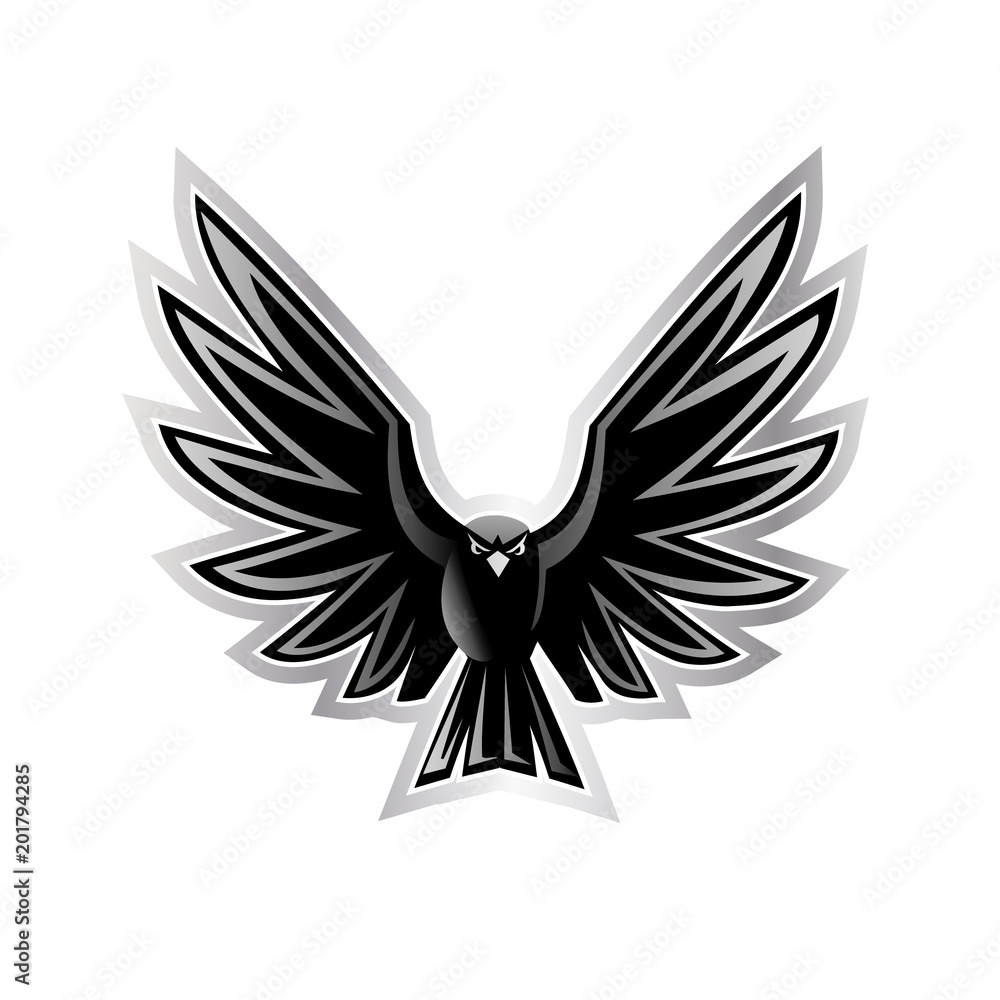 vector illustration of a open wings eagle vector illustration of a open wings eagle