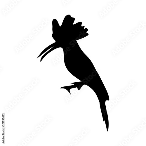 icon Animal with aves, woodpecker, eagle, forest and fly