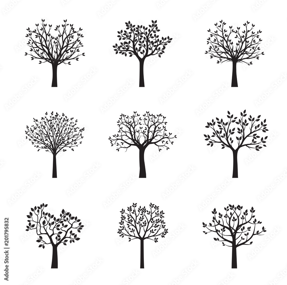 Obraz premium Set of black vector trees. Vector Illustration.
