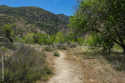 Gravel walking path winds into the scrub brush of a wooded valley in southern California hills.