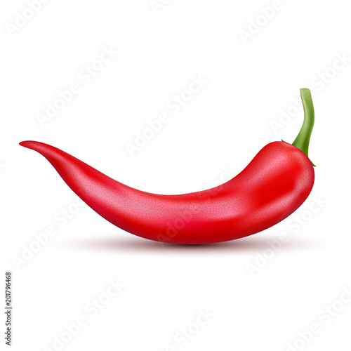 Fresh red hot chili pepper. Kitchen organic vector spicy taste chili mexican pepper
