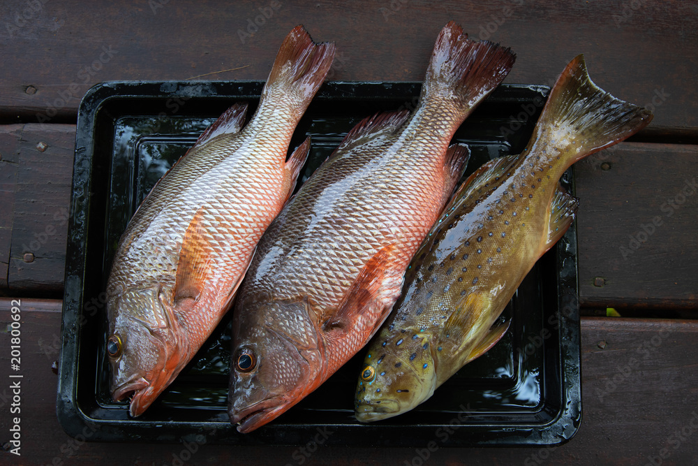 Red snapper and grouper placed in black tray, fresh fish from the sea Stock  Photo