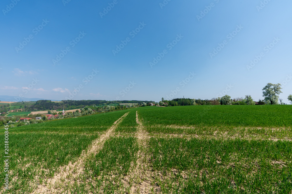 Hügellandschaft