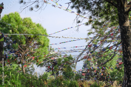 Colorful Buddhist Prayer flags waving on the wind in the woods photo