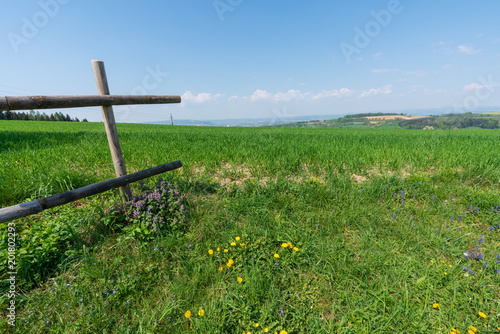 Hügellandschaft mit Zaun