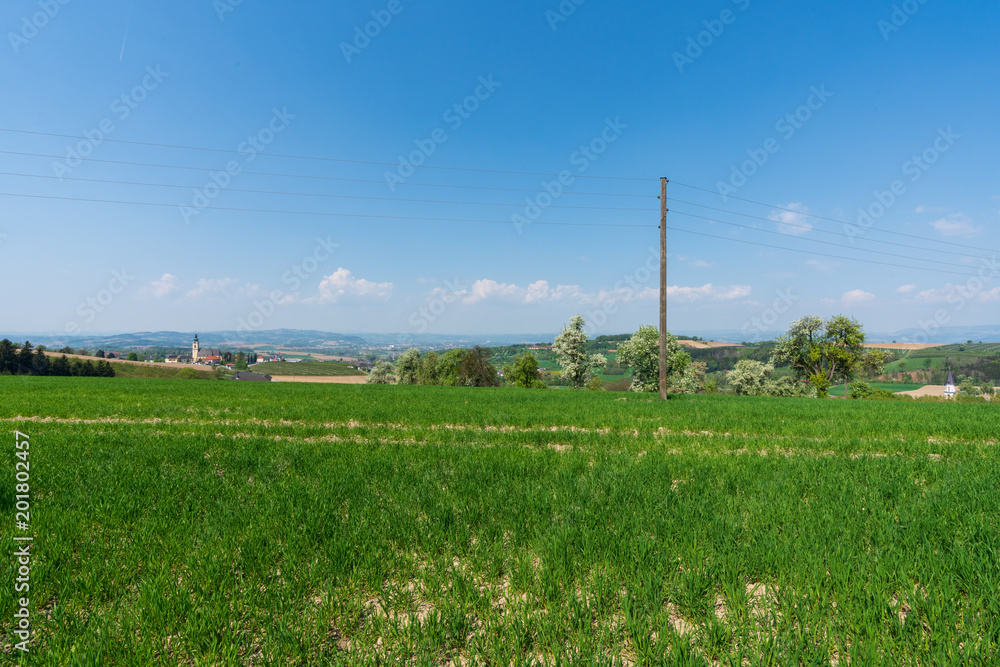 Hügellandschaft Hügellandschaft