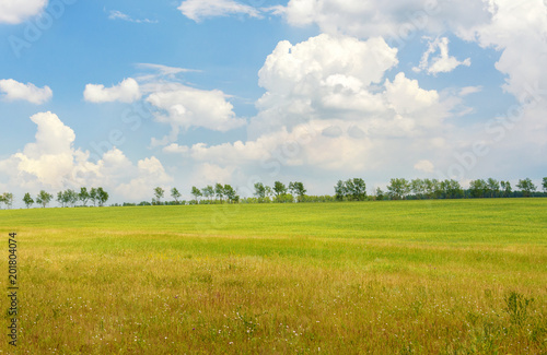 Summer Scene: Beautiful Landscape with Green Grass and Field, Blue Sky at Sunny Day