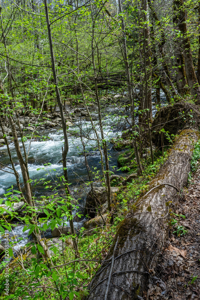 Obraz premium Potter's Creek Trail