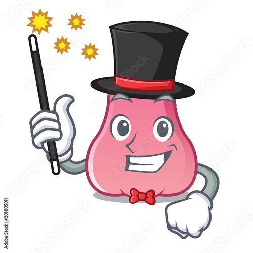 Magician rose apple mascot cartoon