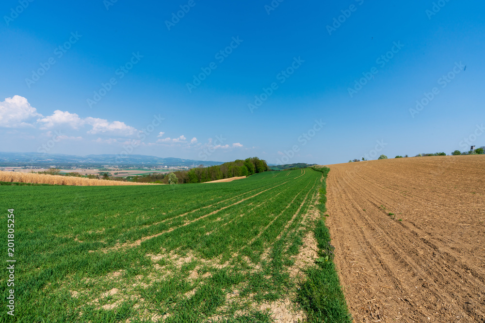 Sanfte Hügellandschaft