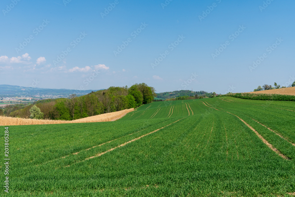 Obraz premium Sanfte Hügellandschaft