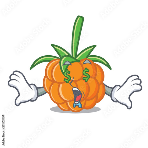 Money eye cloudberry mascot cartoon style