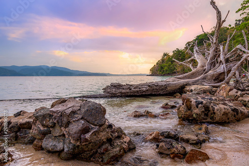 Beach sunset with fallen tree trunks and rocks at Chidiya Tapu beach Port Blair, Andaman, India.