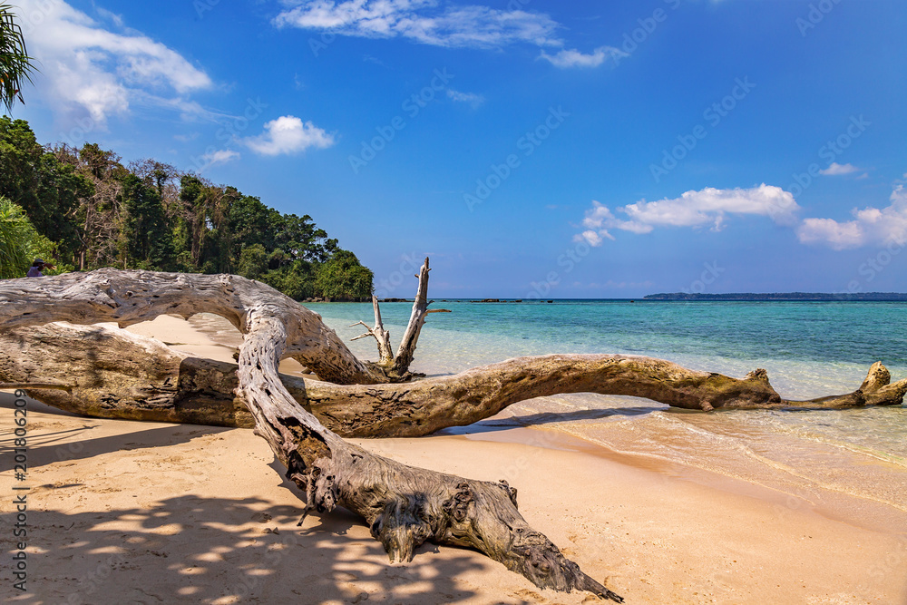 Scenic Jolly Buoy island beach at Andaman, India. Scenic Jolly Buoy island beach at Andaman, India.