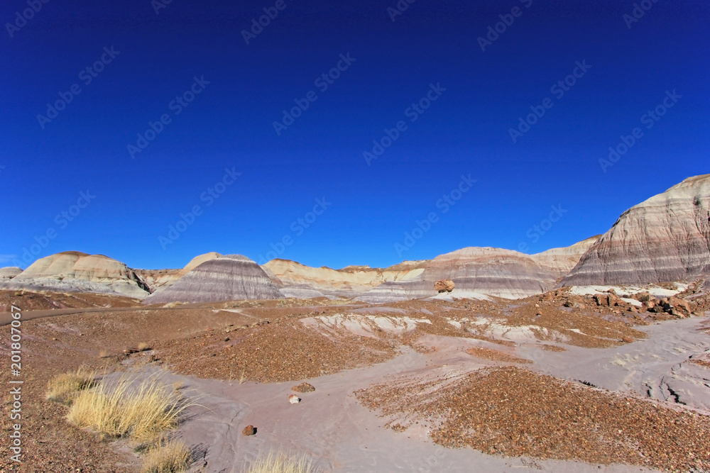 Badlands landscape with tree trunks in Petrified Forest National Park, Arizona, USA