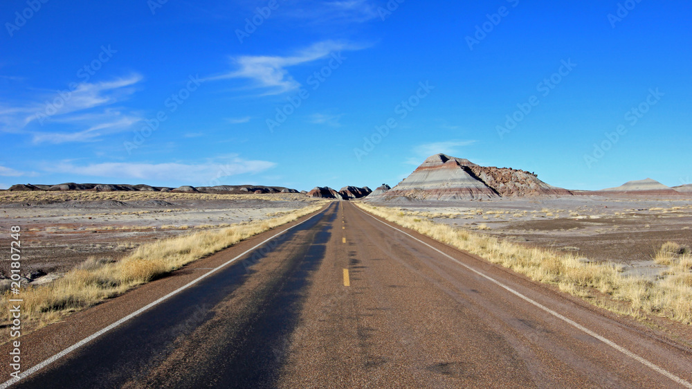 Road running through badlands landscape in Petrified Forest National Park, Arizona, USA Road running through badlands landscape in Petrified Forest National Park, Arizona, USA