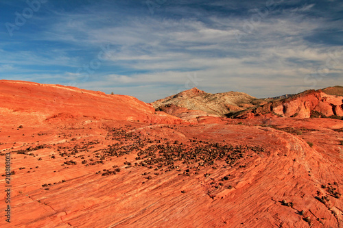 Striped Rocks on Crazy Hill in Pink Canyon, near Fire Wave at sunset, Valley of Fire State Park, Nevada, USA