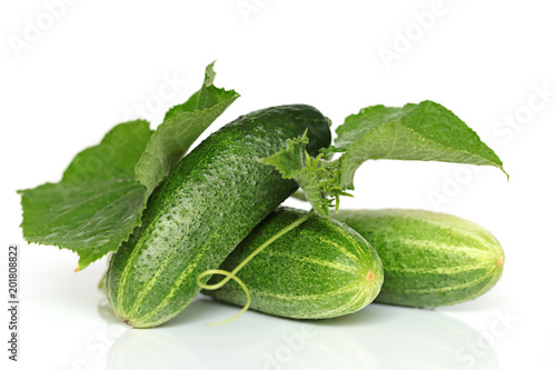 Cucumber. Fresh cucumber with leaves on a white background with reflection. Cucumber season. Healthy Eating