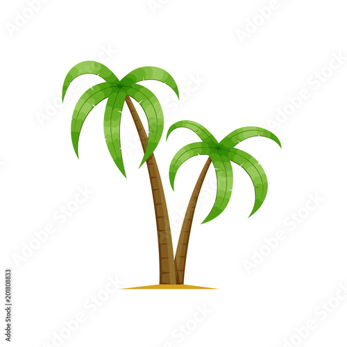 Trees of tropical and subtropical weather conditions, palm tree.