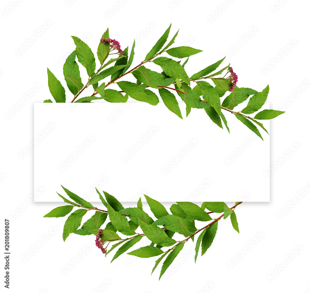 Waved frame from green leaves and small pink flowers with red round card for text