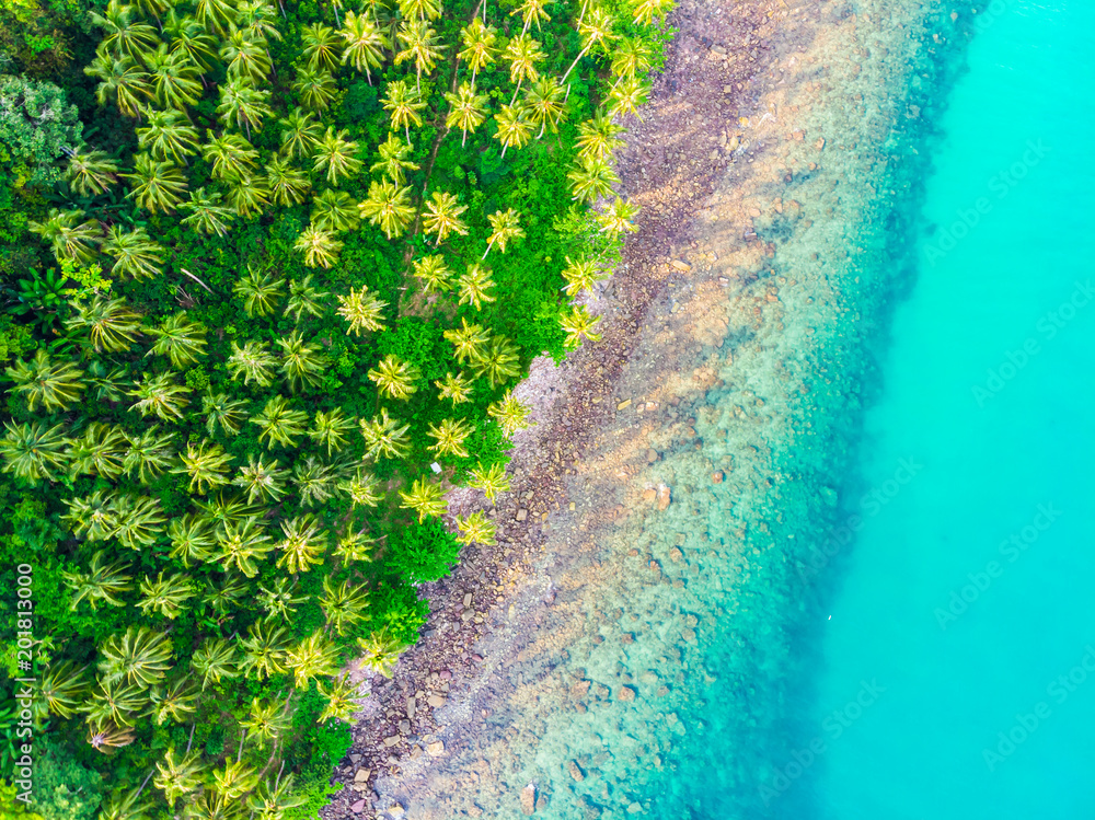 Beautiful Aerial view of beach and sea with coconut palm tree