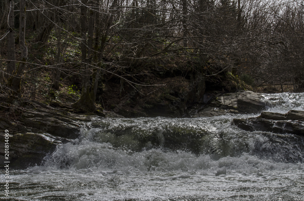 Naklejka premium wodospad Bieszczady