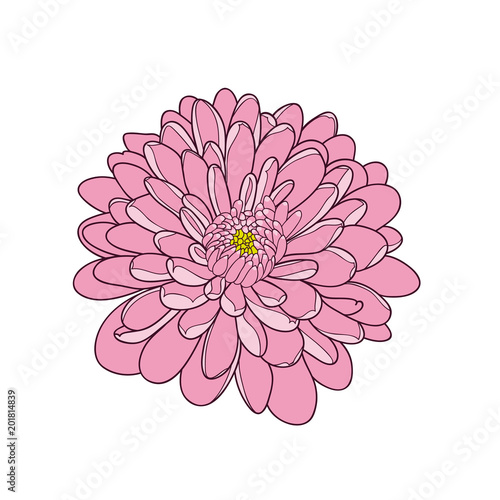Fototapeta Naklejka Na Ścianę i Meble -  Abstract hand-drawn monochrome flower chrysanthemum. Element for design.