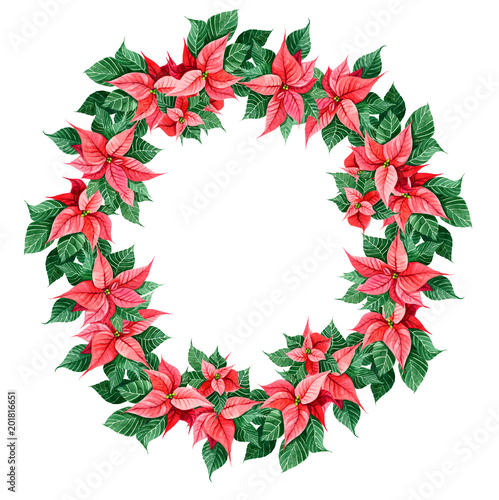 Poinsettia Christmas and New Year leaves round frame decoration. Celebration design element. Hand painted watercolour in bright vivid red and green colours. Winter blossom plant.