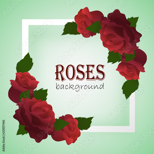 White frame with branches of roses on the corners