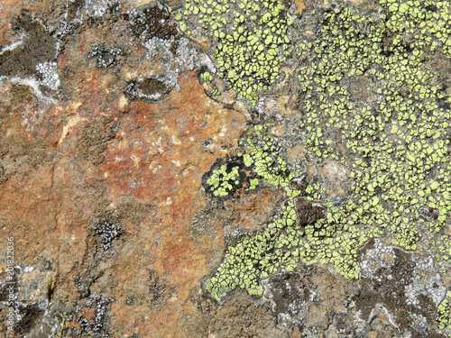Old stone surface covered with lichen and moss. Natural stone texture background © Oleg