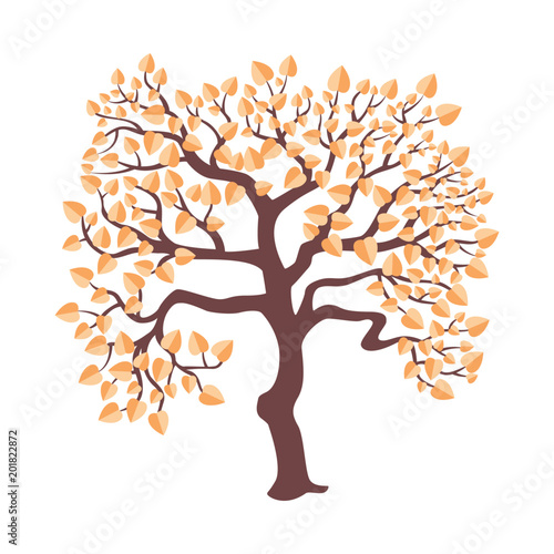 Isolated autumn tree