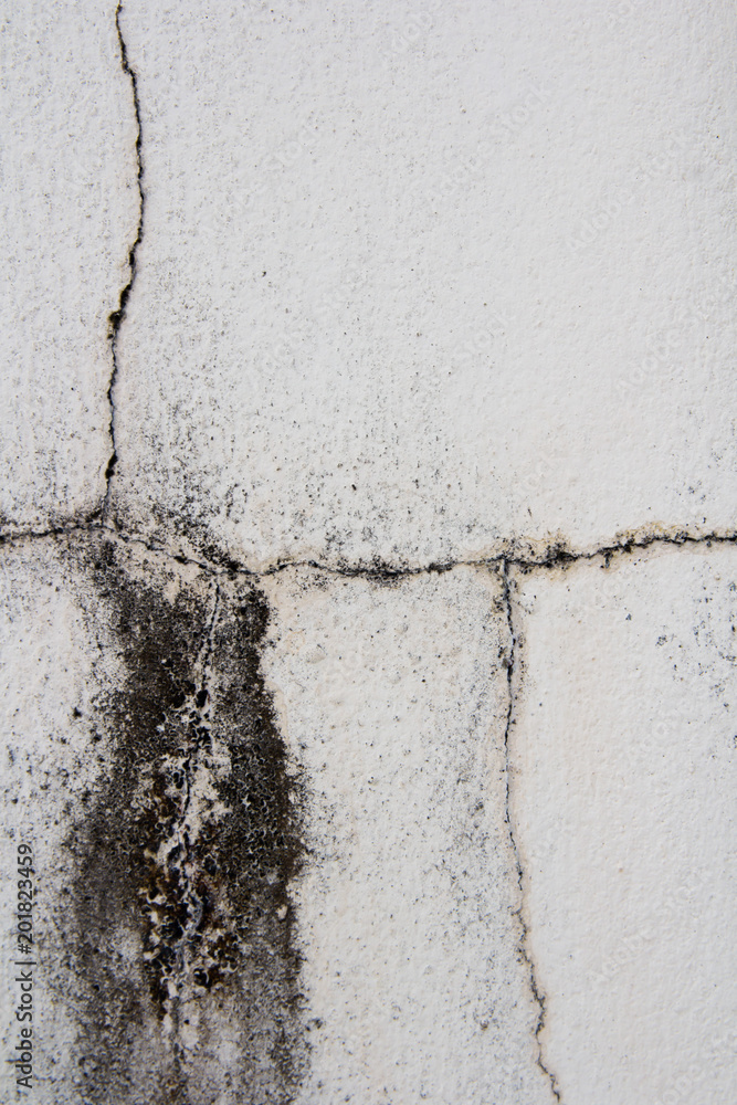 Obraz premium Old Concrete Wall. Sharp to the corners