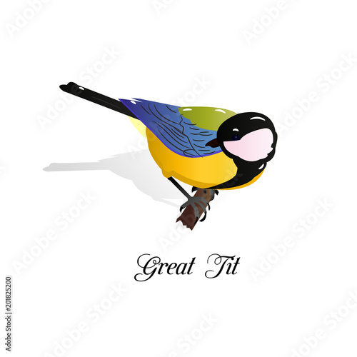 Bird on a branch. Big tit. Cartoon on a white background,