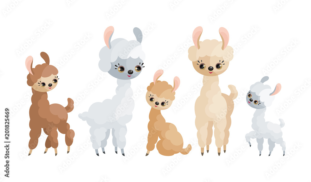 Cute llamas and their cubs. Colorful vector illustrations in cartoon style isolated on a white background.