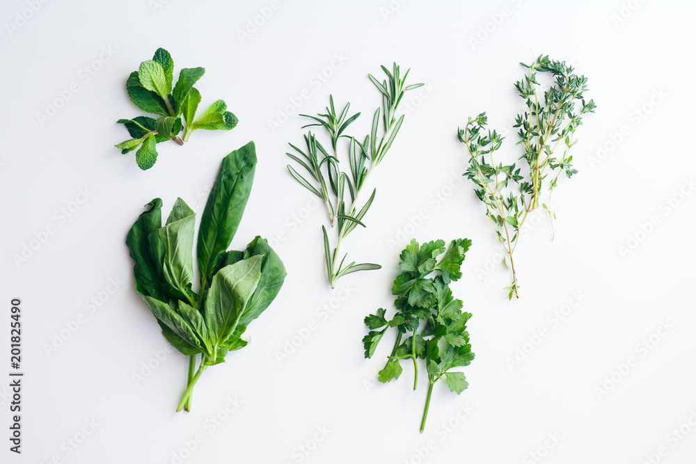 Fresh herbs on white background: rosemary, thyme, mint and parsley in small bunches isolated Fresh herbs on white background: rosemary, thyme, mint and parsley in small bunches isolated