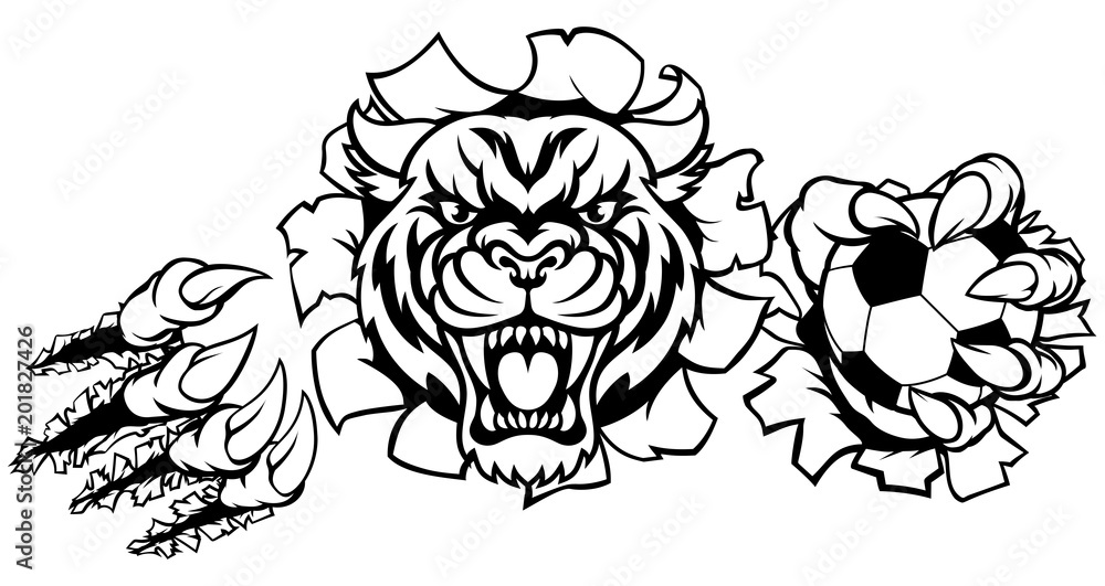 Tiger Holding Soccer Ball Breaking Background Tiger Holding Soccer Ball Breaking Background