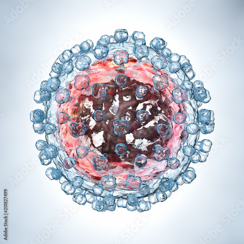 Hepatitis C virus photo