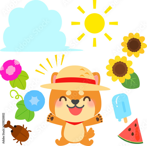 麦わら帽子をかぶった柴犬と夏のイラストセット