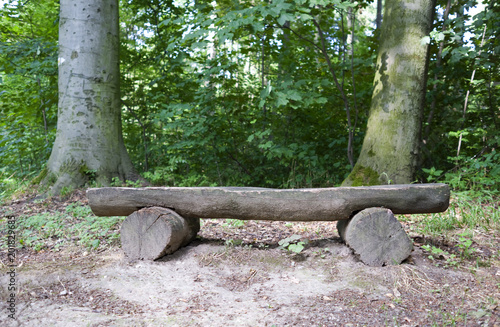 Altenburg / Germany: Simple wooden bench in the urban forest