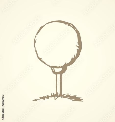 The golf ball. Vector drawing